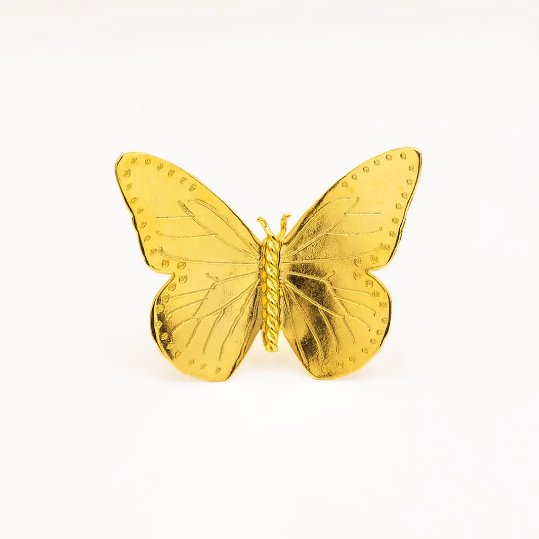 Ring Flight